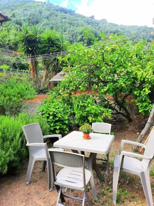 Il Limoneto Dei Cinque Sensi,Apartment With Garden Вернаца Екстериор снимка