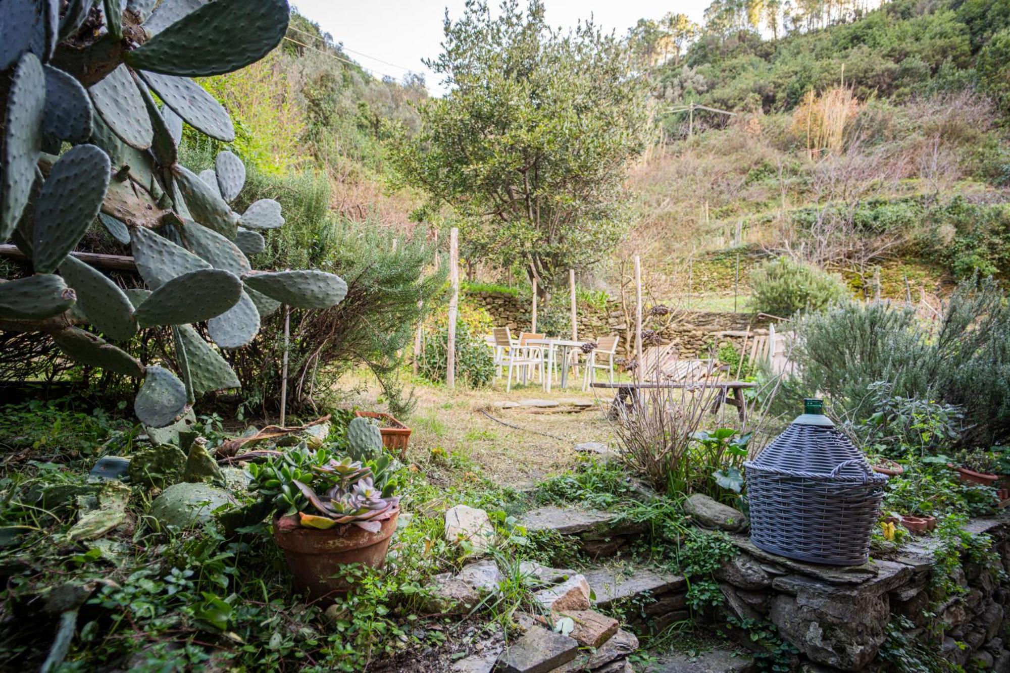 Il Limoneto Dei Cinque Sensi,Apartment With Garden Вернаца Екстериор снимка
