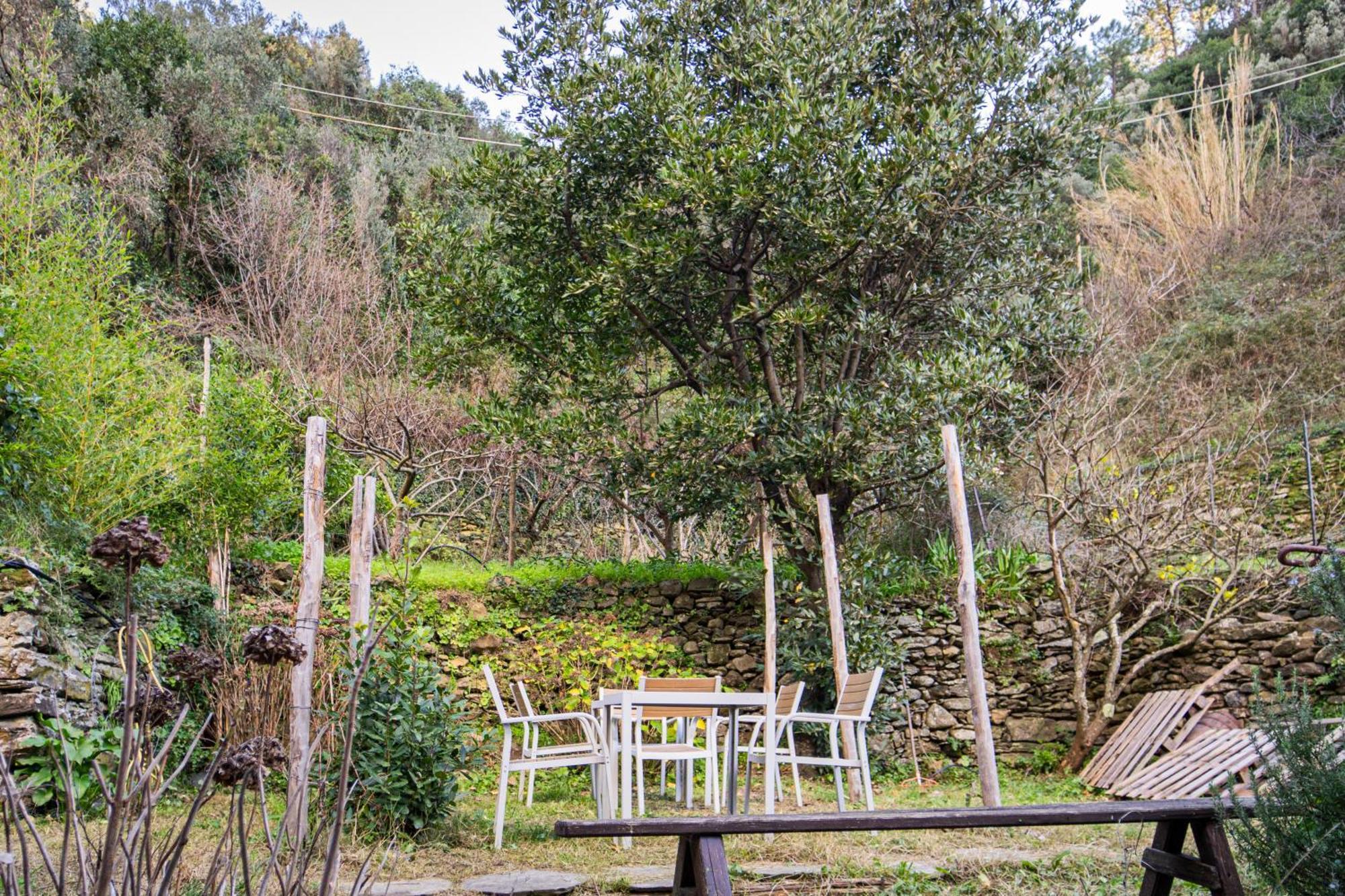 Il Limoneto Dei Cinque Sensi,Apartment With Garden Вернаца Екстериор снимка